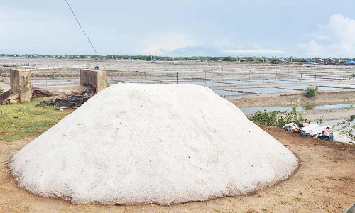 உப்பு உற்பத்தி அதிகரிப்பு