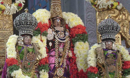 திருப்பதி தேவஸ்தானம் சார்பில் அமெரிக்காவில் 8 நகரங்களில் சாமி திருக்கல்யாணம்