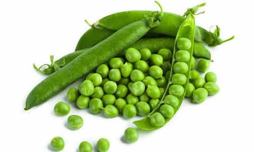 ரசாயனம் தடவி விற்பனை செய்த 30 கிலோ பச்சை பட்டாணி பறிமுதல்