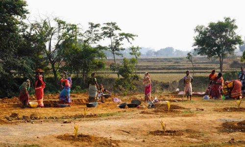 திருப்பூர் மாவட்டத்தில் முன்னாள் மக்கள் நலப்பணியாளர்கள்  புதிய பணியில் சேர விருப்பம்- சங்க தலைவர் தகவல்