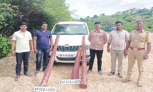 வாணியம்பாடி அருகே காரில் செம்மரக்கட்டைகள் பறிமுதல்