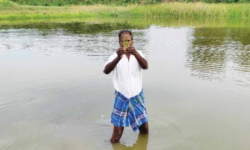 வந்தவாசி அருகே ஏரி மதகு உடைந்து 100 ஏக்கர் பயிர் நாசம்