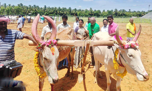 பொன்னேர் பூட்டி விவசாயிகள் பூஜை செய்து வழிபாடு