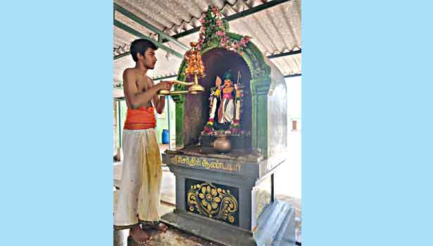 வைகாசி விசாக விழா வைகாசி விசாக விழா
