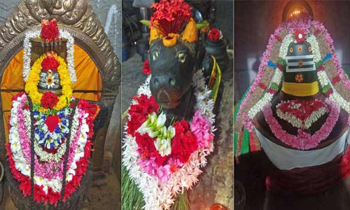 வைகாசி மாத பிரதோஷத்தை முன்னிட்டு பரமத்திவேலூரில் நந்தி பெருமானுக்கு சிறப்பு அபிஷேக ஆராதனை