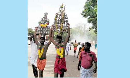 கோவில் திருவிழாவில் பக்தர்கள் பால்குடம் எடுத்தனர்
