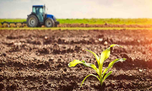 ரூ.3 லட்சம் வட்டியில்லா கடன் - விவசாயிகள் வலியுறுத்தல்