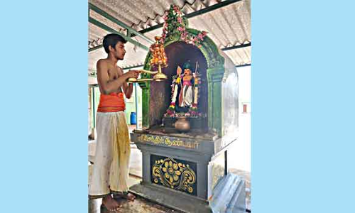 வைகாசி விசாக விழா