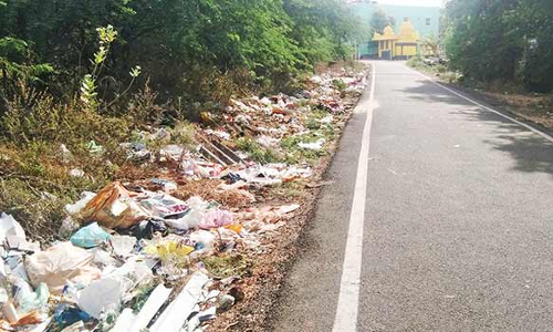 சாலையோரத்தில் கொட்டப்படும் குப்பைகளால் சுகாதார சீர்கேடு