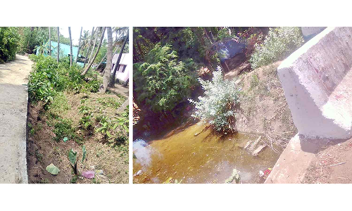 பாசன வாய்க்கால்களை தூர்வார விவசாயிகள் கோரிக்கை