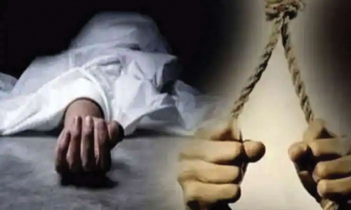 பாணாவரம் அருகே வாலிபர் தற்கொலை