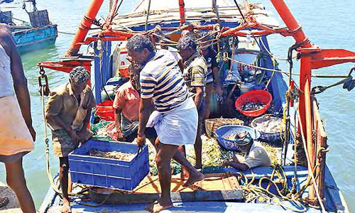 மீன்பிடி தடைக்காலம் நாளையுடன் முடிகிறது- தூத்துக்குடியில் 61 நாட்களுக்கு பின்னர் கடலுக்கு செல்ல தயாராகும் மீனவர்கள்