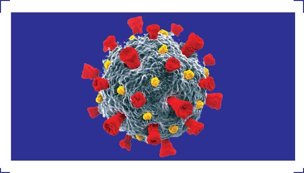 நெல்லையில் இன்று 8 பேருக்கு கொரோனா