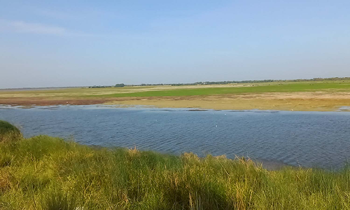 வீராணம் ஏரியில் இருந்து சென்னைக்கு குடிநீர் அனுப்புவதில் சிக்கல்
