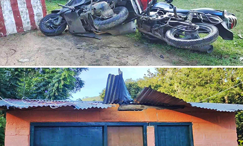 கொடைக்கானலில் வீடு, கடையை சேதப்படுத்திய யானையால் பொதுமக்கள் அச்சம்