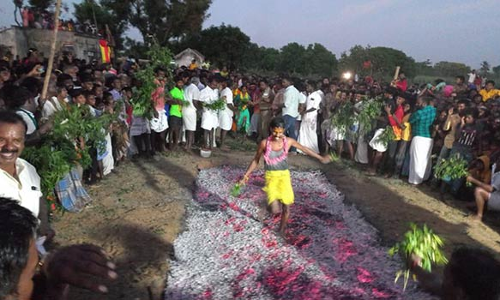 ஜெயங்கொண்டம் வாணதிரையன்பட்டினம் ஸ்ரீ திரவுபதி அம்மன் கோவிலில்  தீமிதி திருவிழா