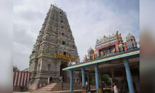 பேளூர் தான்தோன்றீஸ்வரர் கோவில் தெப்பக்குளம், விளைநிலம் அளவீடு