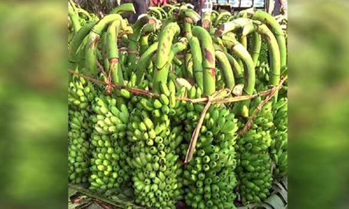 கோவில், திருமண விசேஷங்களால வாழைத்தார் விலை உயர்வு  விவசாயிகள் மகிழ்ச்சி