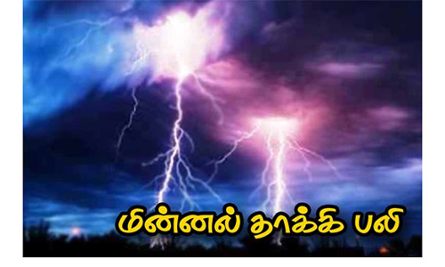 புதுக்கோட்டை அருகே மின்னல் தாக்கி பள்ளி மாணவன் பலி