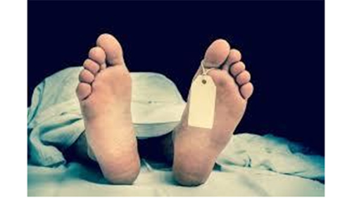 பெரம்பலூரில் பாம்பு கடித்து பள்ளி மாணவி பலி