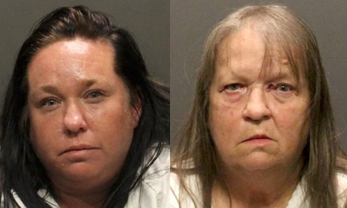 பேன்கள் கடித்ததால் உயிரிழந்த சிறுமி: தாய்-பாட்டி மீது கொலை வழக்கு