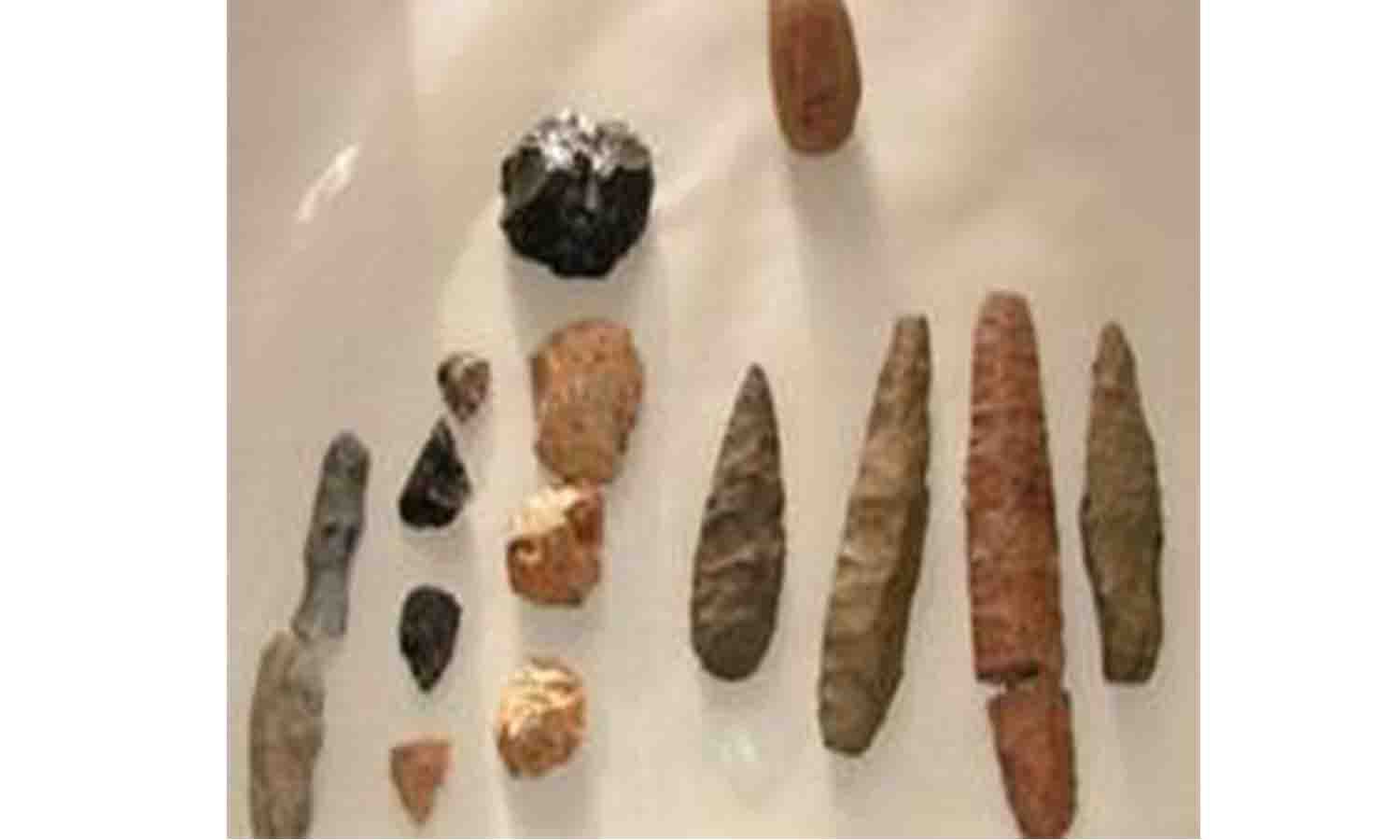 மயிலாடும்பாறையில் புதிய கற்கால கல் திட்டை கண்டுபிடிப்பு- அருங்காட்சியக காப்பாட்சியர் தகவல் மயிலாடும்பாறையில் புதிய கற்கால கல் திட்டை கண்டுபிடிப்பு- அருங்காட்சியக காப்பாட்சியர் தகவல்