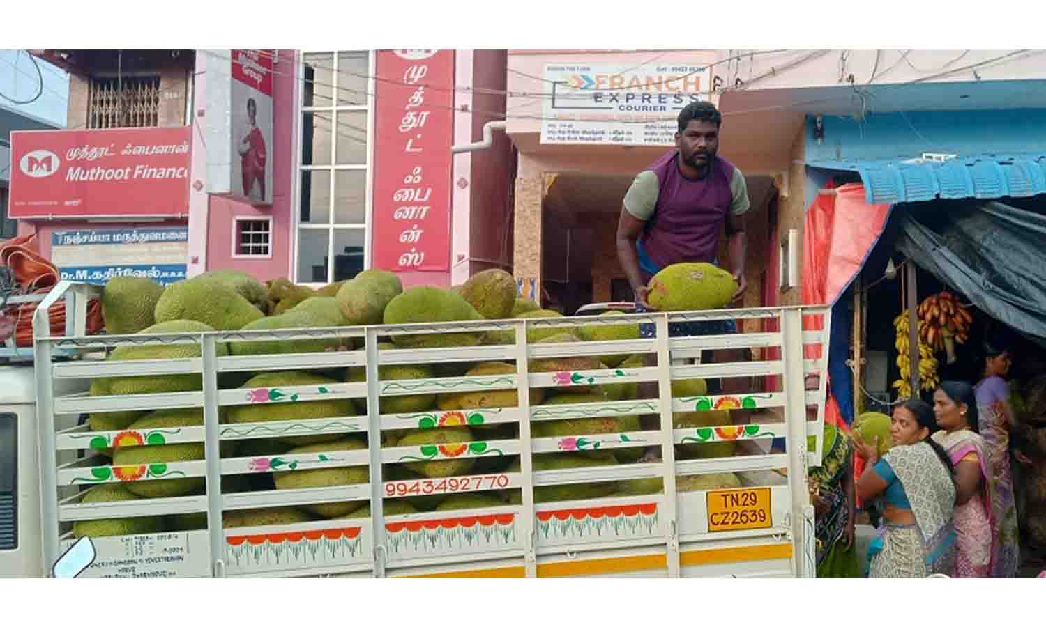 தருமபுரியில் பலாப்பழம் விற்பனை அமோகம் தருமபுரியில் பலாப்பழம் விற்பனை அமோகம்
