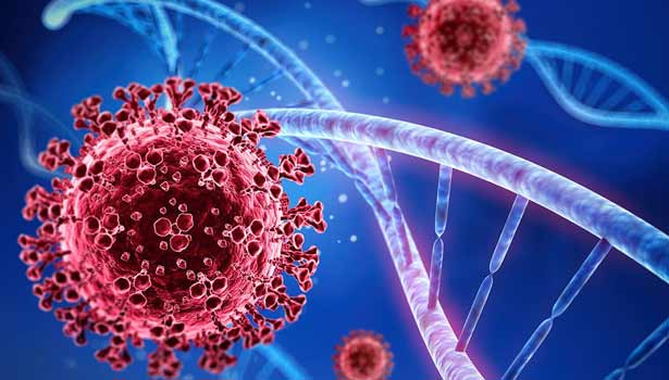 5 பேருக்கு கொரோனா பாதிப்பு