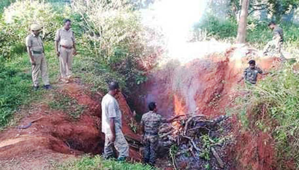 முதுமலை அருகே யானைகள் நுழைவதை தடுக்க அகழியில் தீ மூட்டிய வனத்துறையினர் முதுமலை அருகே யானைகள் நுழைவதை தடுக்க அகழியில் தீ மூட்டிய வனத்துறையினர்