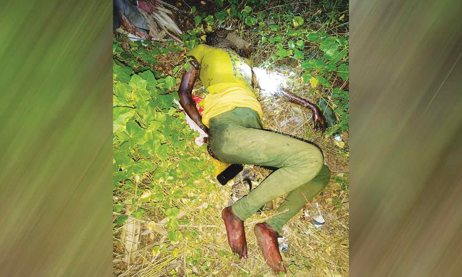 வேலூர் அருகே இளம்பெண் மர்ம சாவு வேலூர் அருகே இளம்பெண் மர்ம சாவு