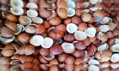 வெள்ளகோவிலில் ரூ.55 லட்சத்திற்கு தேங்காய் பருப்பு ஏலம்