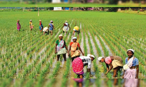குத்தகை நிலம் மூலம் விவசாயிகளிடம் நூதன மோசடியில் ஈடுபடும் கும்பல்