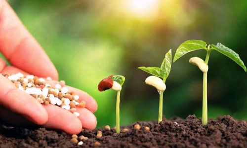 உரங்களை அதிக விலைக்கு விற்றால் நடவடிக்கை - வேளாண்மை உதவி இயக்குனர் எச்சரிக்கை