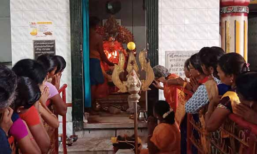 கோவில்பட்டி புற்றுக்கோவிலில் பவுர்ணமி சிறப்பு பூஜை