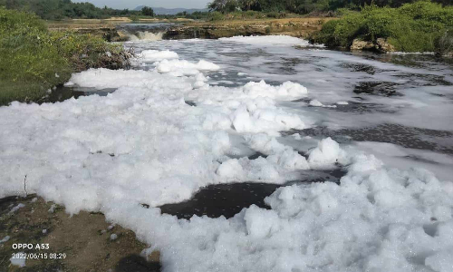 ஆம்பூர் பாலாற்றில் நள்ளிரவில் திறந்துவிடப்பட்ட தோல் கழிவு நீர்