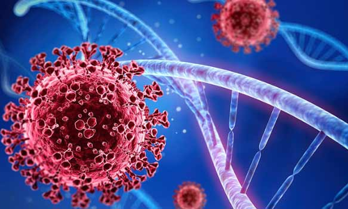 5 பேருக்கு கொரோனா பாதிப்பு