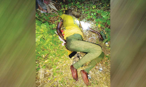 வேலூர் அருகே இளம்பெண் மர்ம சாவு