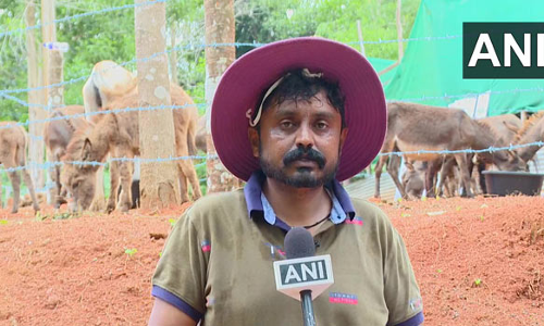 வேலையை ராஜினாமா செய்துவிட்டு கழுதை பண்ணையை தொடங்கிய ஐடி ஊழியர்