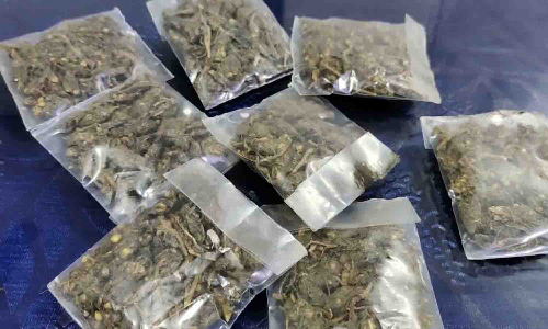 கஞ்சா விற்பனை - வடமாநில வாலிபர் குண்டர் சட்டத்தில் கைது