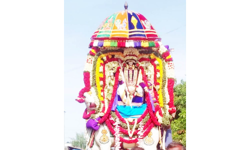 குழகர் கோவிலில் தீர்த்தவாரி