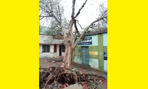 மரம் விழுந்து அரசு பள்ளி கட்டிடம் சேதம்
