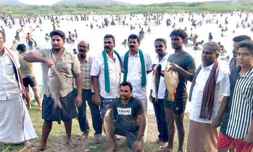 முதலைக்குளம் கண்மாயில் மீன்பிடி திருவிழா