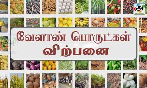 சாலைப்புதூர் ஒழுங்கு முறை விற்பனை கூடத்தில் ரூ.36.86 லட்சத்துக்கு வேளாண் பொருட்கள் விற்பனை