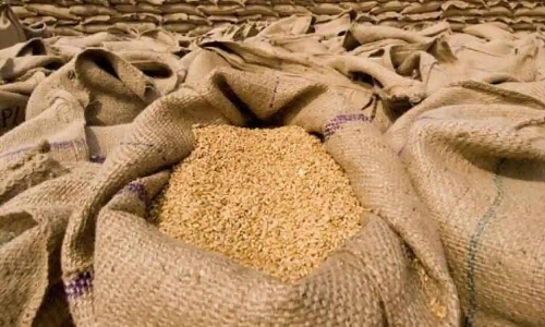 இந்திய கோதுமை ஏற்றுமதிக்கு ஐக்கிய அரபு அமீரகம் தடை