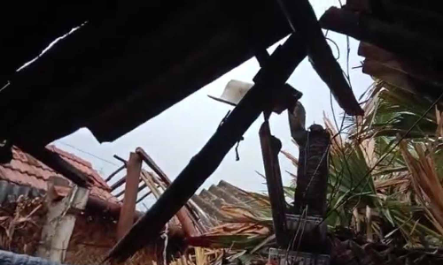 மரம் முறிந்து விழுந்து பனியன் தொழிலாளி காயம்