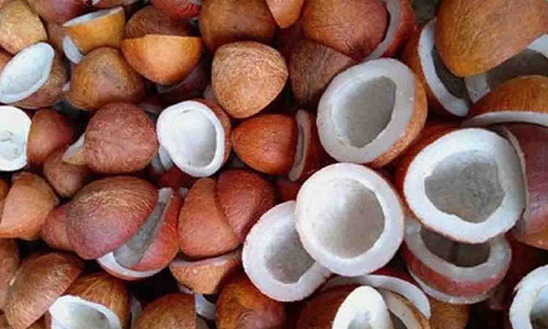 கட்டுப்பாடுகளை தளர்த்தி ஆண்டு முழுவதும் கொப்பரைகளை கொள்முதல் செய்ய வேண்டும் - விவசாயிகள் எதிர்பார்ப்பு