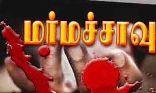 அரசு பள்ளி ஆசிரியை மர்மச்சாவு