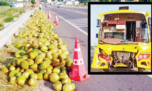 சாலையில் சிதறிய இளநீர் காய்களால் சொகுசு பஸ்  உள்பட 3 வாகனங்கள் அடுத்தடுத்து மோதல்