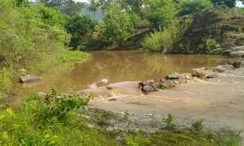 சாத்தியார் அணைக்கு நீர்வரத்து அதிகரிப்பு