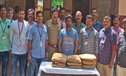 19 கிலோ கஞ்சா கடத்திய ஆந்திர வாலிபர் கைது